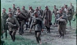 1942的夏天在線觀看,烽火歲月里的生死抉擇