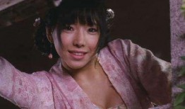 2008金瓶梅在線觀看,再現明代風華，在線重溫經典