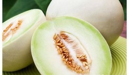 網紅吃白蘭瓜視頻在線觀看,在線觀看解鎖夏日清新口感