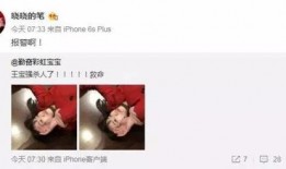 娛樂吃瓜醬男的女的,揭秘醬男與醬女背后的故事