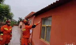 柯基最新爆料視頻大全下載,萌寵瞬間，笑料橫生