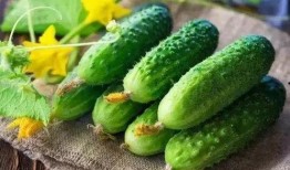 娛樂吃瓜制作,吃瓜群眾必看的幕后故事