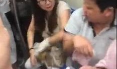 石家莊阿姨爆料事件視頻,揭露驚人真相