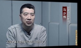 馬少偉最新爆料新聞,揭秘娛樂(lè)圈驚人內(nèi)幕