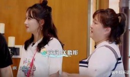 文赫吃瓜免費,揭秘娛樂圈幕后故事