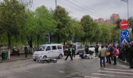 陜西安康新聞爆料,聚焦民生熱點，揭示社會現象