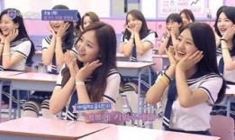 韓國限制綜藝在線觀看,在線觀看受限，粉絲熱議影響