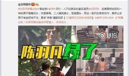 楊大俠四周年爆料視頻,揭秘幕后故事與精彩瞬間