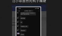 張穎穎被朋友爆料視頻,張穎穎被朋友爆料視頻引發熱議