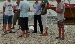 陜西安康新聞爆料,聚焦民生熱點，揭示社會現象