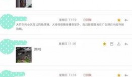 附近最新爆料,附近神秘項目最新進(jìn)展，獨家爆料引熱議！