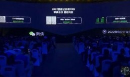 最新爆料雷電將軍視頻播放,神秘力量覺醒，戰(zhàn)斗風(fēng)格顛覆想象