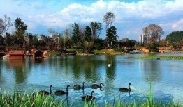 花果園爆料事件視頻大全,揭秘背后真相與爭議