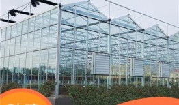 熱點大棚爆料視頻播放,視頻播放背后的驚人真相