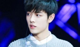 肖戰(zhàn)和毛不易最新爆料,揭秘幕后故事與心路歷程