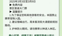 外網蘋果17最新爆料,顛覆性設計與強大性能前瞻