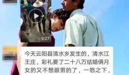 清水爆料視頻,一窺事件背后真相