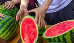 學校瓜在線免費吃瓜,免費瓜果等你來嘗