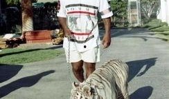 泰森今日爆料,今日爆料背后的驚人真相