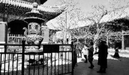 香爐最新爆料視頻大全集,揭秘神秘事件背后的真相