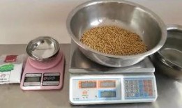 爆料豆腐腦做法視頻,輕松學會家常美味