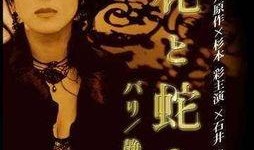 花之蛇6在線觀看,在線揭秘，蛇蝎美女的復仇之旅