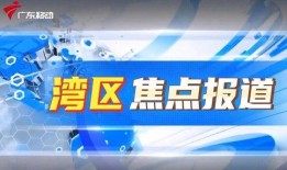 順德熱點爆料新聞視頻,最新爆料新聞視頻回顧