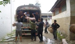 蓬溪縣群利鎮(zhèn)爆料案件最新,真相大白，正義得以伸張