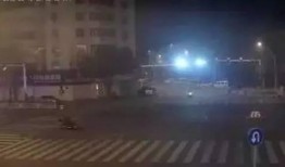 徐州黑坑爆料事件最新,揭秘背后驚人真相