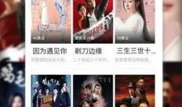 四大緋聞爆料視頻播放下載,播放下載背后的真相與爭議