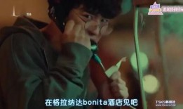 旅店女主人在線觀看,旅店女主人在線觀看的浪漫奇遇