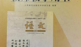 語文數學書最新爆料,深度解析教學革新與核心素養(yǎng)培養(yǎng)