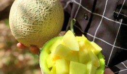 娛樂吃瓜制作,吃瓜群眾必看的幕后故事