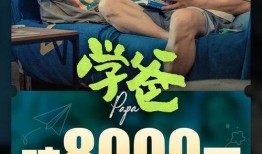 東北打工爆料視頻完整版,揭秘真實生活與職場困境