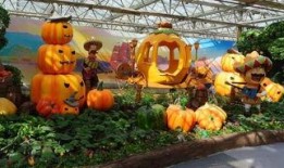 吃瓜群眾第二季免費看,免費暢享，揭秘娛樂圈風云變幻