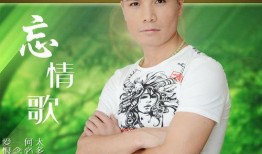 忘情歌在線觀看,沉浸式音樂(lè)之旅，重溫經(jīng)典旋律