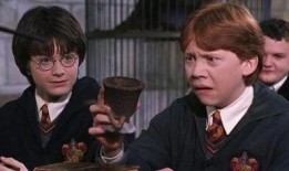 哈利波特爆料最新,魔法世界背后的驚人真相