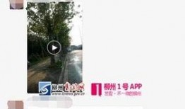 廣西柳州網(wǎng)友爆料新聞,驚現(xiàn)神秘事件，真相令人震驚！