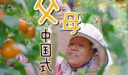 娛樂吃瓜醬愧疚式教育,娛樂吃瓜醬的反思與啟示