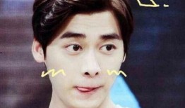 李易峰新聞爆料視頻大全