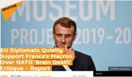 歐盟官員爆料新聞最新報道,最新報道揭示重大政治內幕