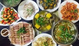 最新新康飯菜爆料事件真相,真相揭露與反思