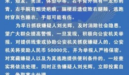 無皮村最新爆料新聞事件,村民揭示驚人真相
