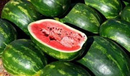 網紅吃瓜免費入口下載,下載攻略大公開