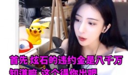 文妹爆料視頻大全集免費(fèi)觀看,獨(dú)家揭秘，免費(fèi)觀看