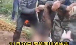 多人爆料溺亡視頻播放,多人爆料溺亡視頻引發社會關注